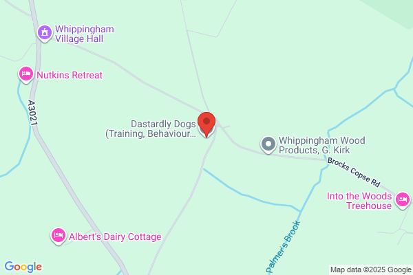 Isle Of Wight Dog Training Society