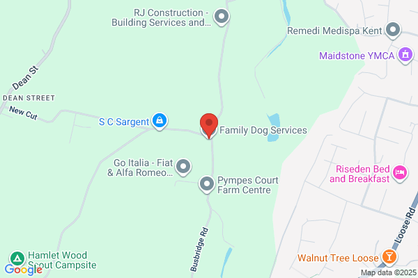 Family Dog Services