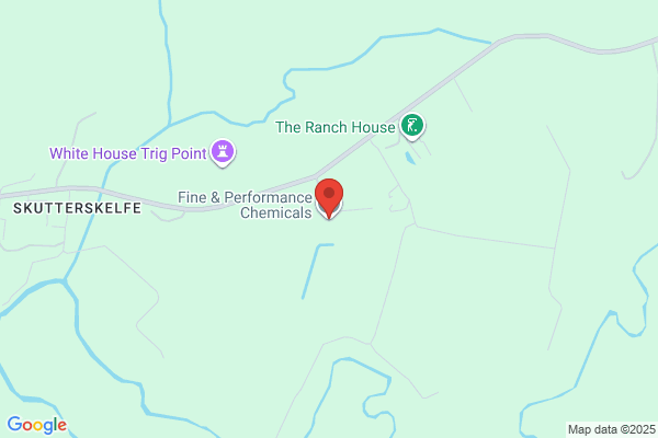 Fine Chemicals Consulting Group