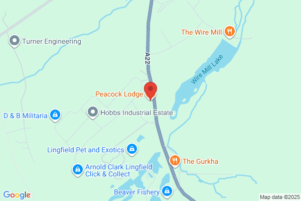 The Prince Of Wales