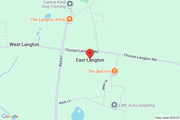 Balloonamania