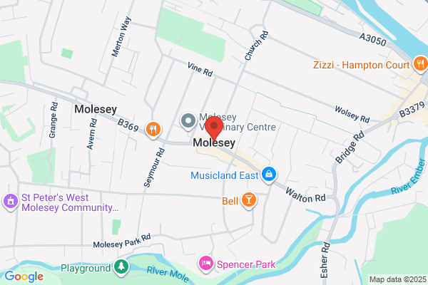 Landart Garden Design & Build Ltd