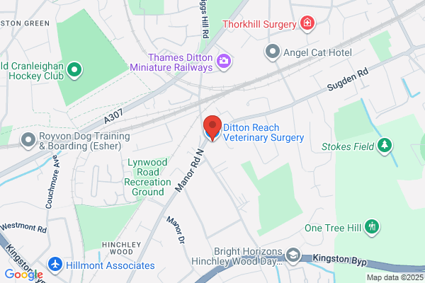 Ditton Reach Veterinary Surgery