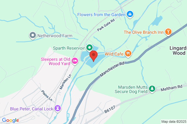 Calder Valley Trout