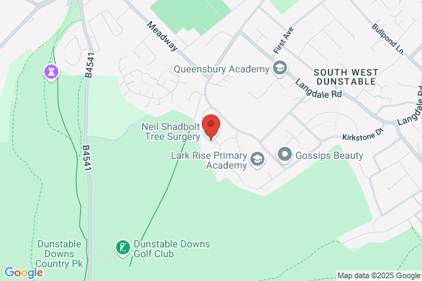 Neil Shadbolt Tree Surgery Ltd