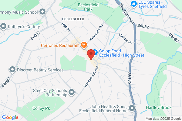 Springfield Veterinary Group - Ecclesfield