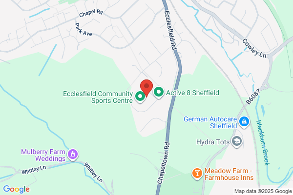 Ecclesfield School
