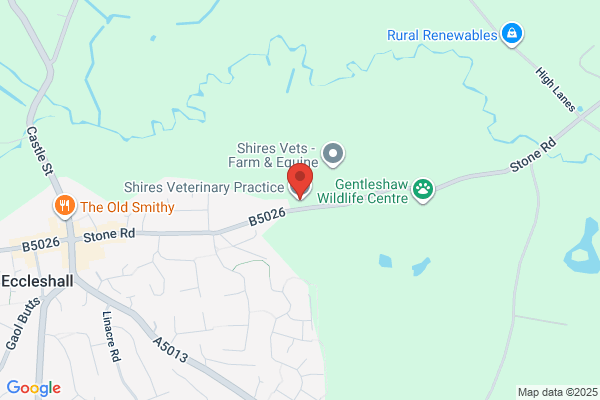 Shires Veterinary Practice