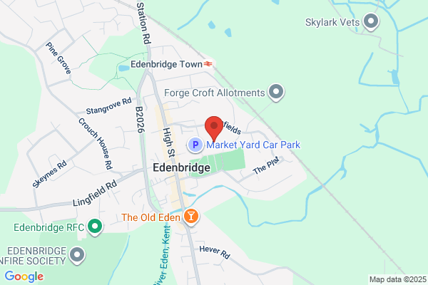 NorthDowns Tree Surgeons