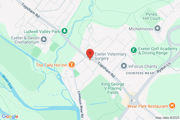 Exeter Veterinary Centre