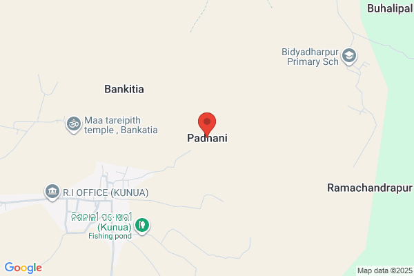 Padhani & Co