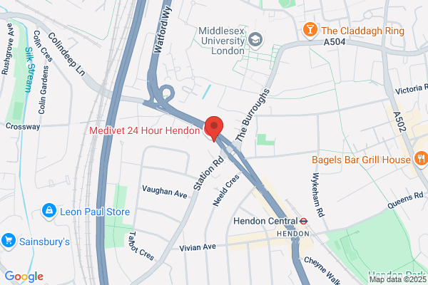 The British Hernia Centre