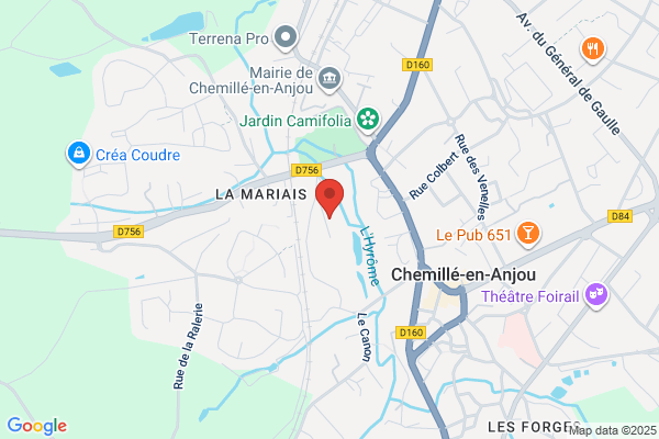Bees Dreams