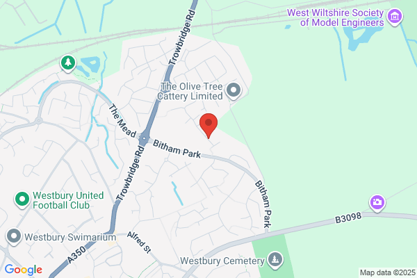 David Wilson Homes - Mill Brook