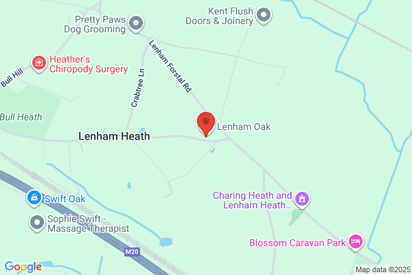 Lenham Oak & Fencing