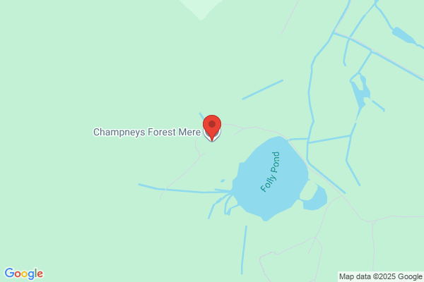 Forest Mere Lodges