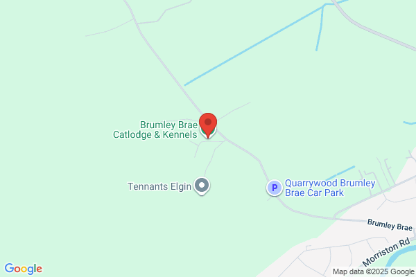 Brumley Brae Cattery