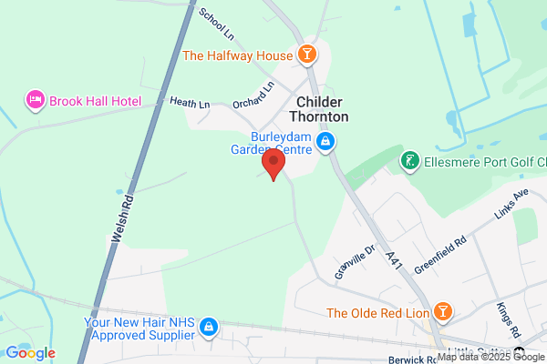 Classy Canines