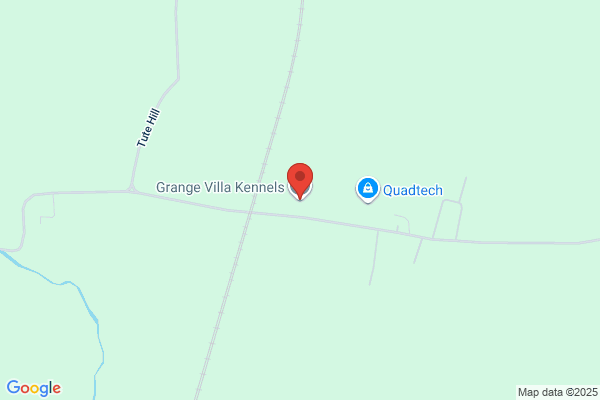 Grange Villa Kennels