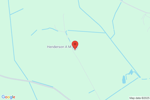 A G Henderson & Son