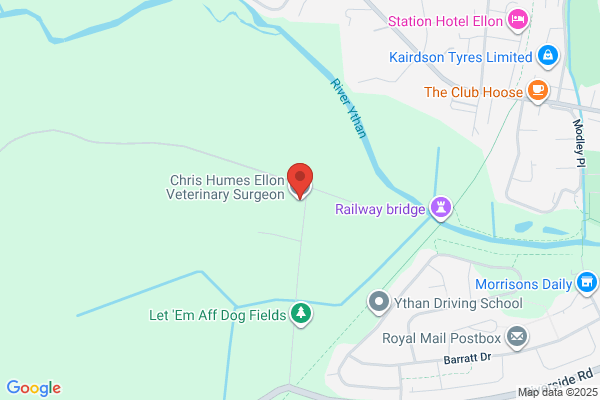 Castle Veterinary Centre