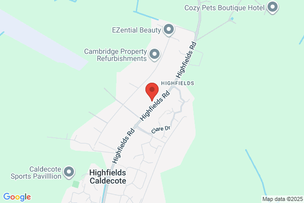 DollyBees