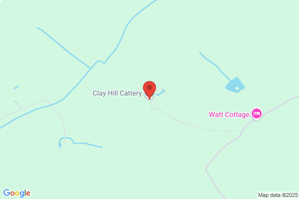 Hillview Cattery