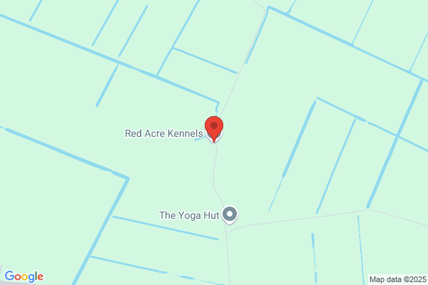 Roeneeka Kennels