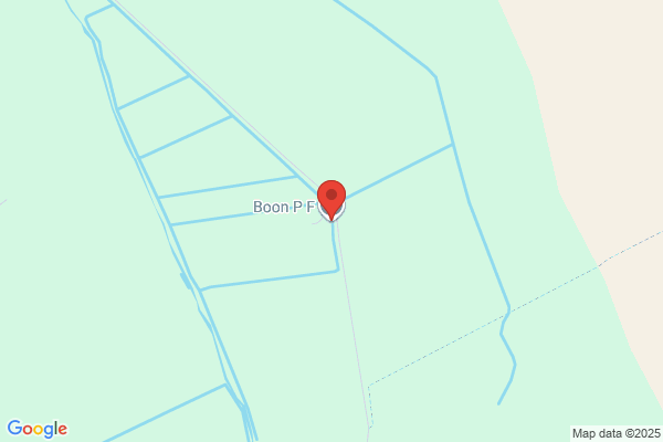 P F Boon