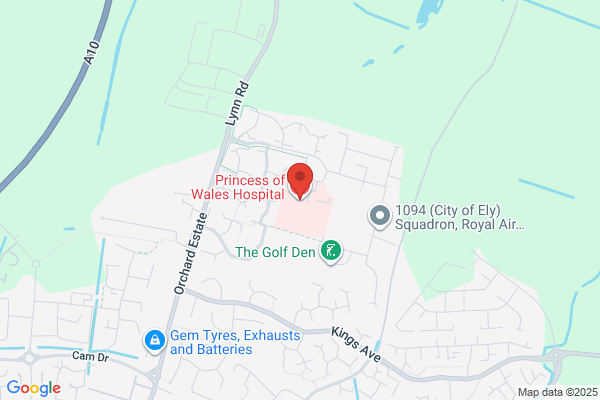Princess Of Wales Hospital