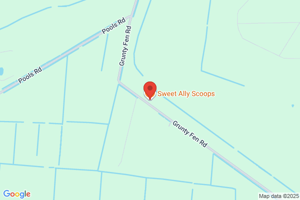 Sweet Ally Scoops