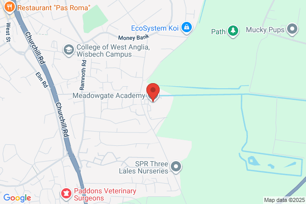 Meadowgate School