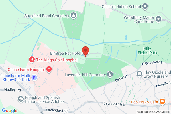 Capel Manor Boarding Kennels & Cattery