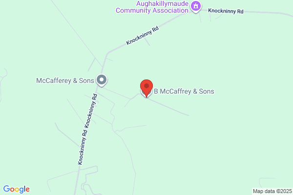 Leo McGrory & Sons