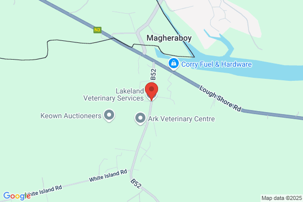 Lakeland Veterinary Services