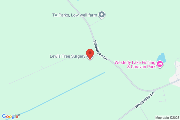 Lewis Tree Surgery