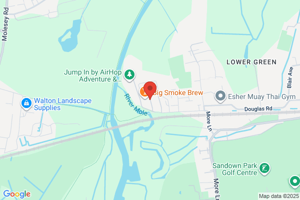 A I M S (Elmbridge)