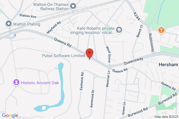 Pulse Software
