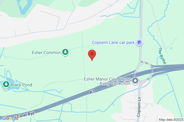 Esher & Walton Constituency Labour Party