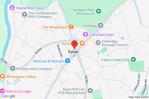 Esher Property Preservation Ltd
