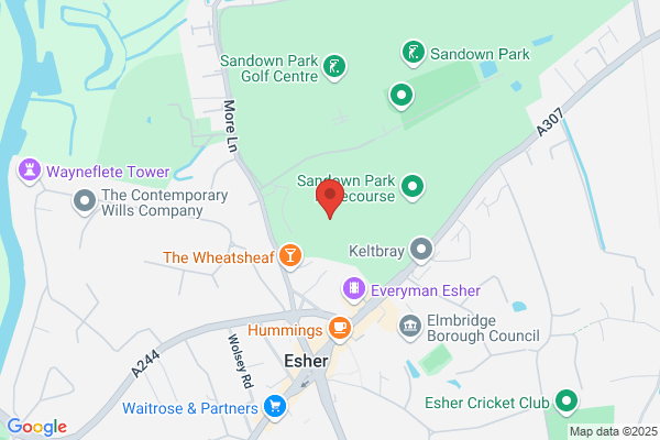 Sandown Active Sports