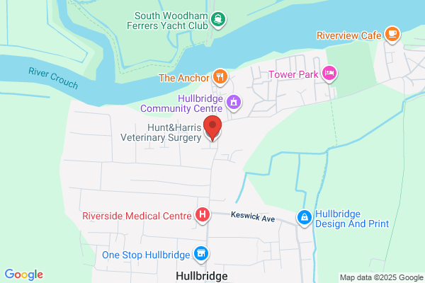 Best Friends Vet Group, Hullbridge