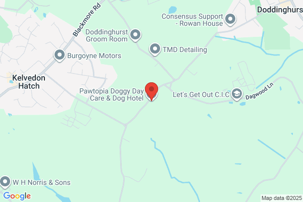 Buddies4Dogs Doggy Daycare Center