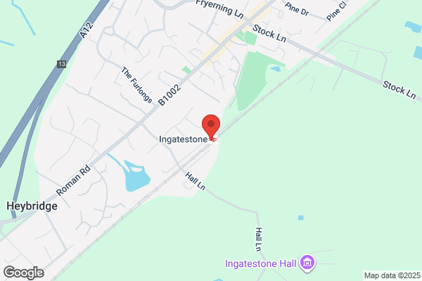 Ingatestone Station Cars
