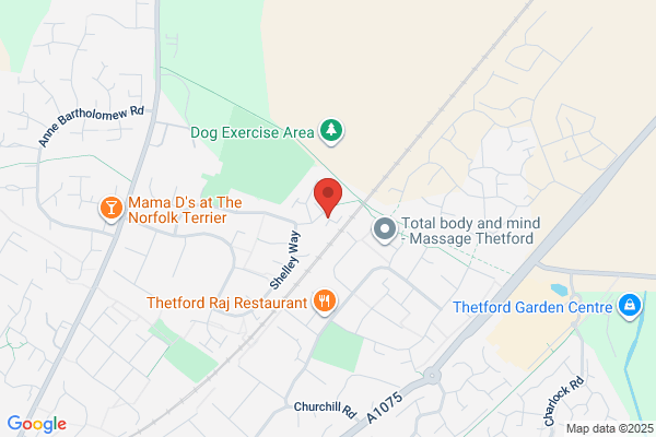 Thetford Plumbing Services