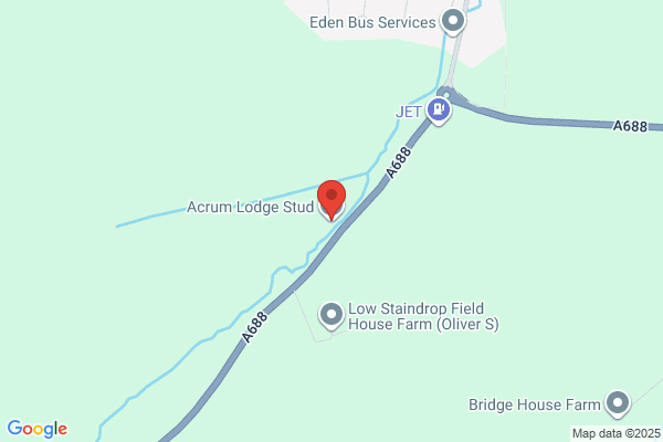 Acrum Lodge Stud