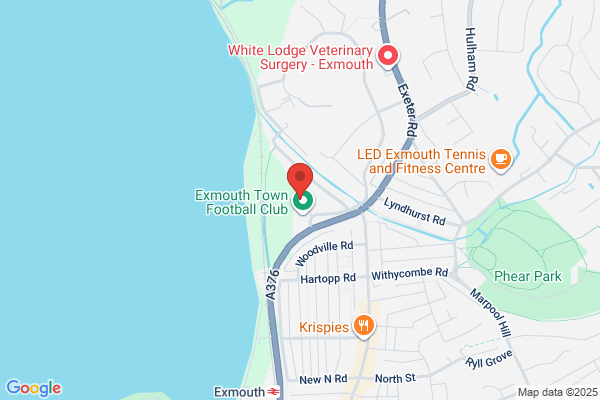 We Buy Any Car Exmouth Football Club