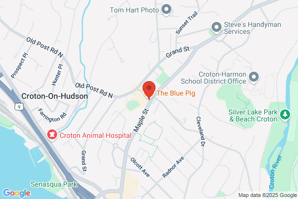 The Blue Pig