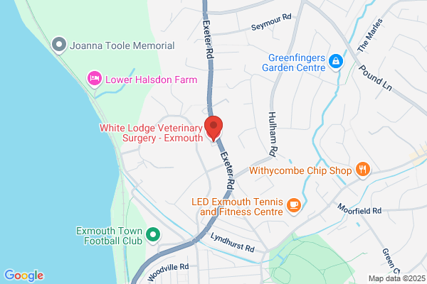 White Lodge Veterinary Surgery - Exmouth