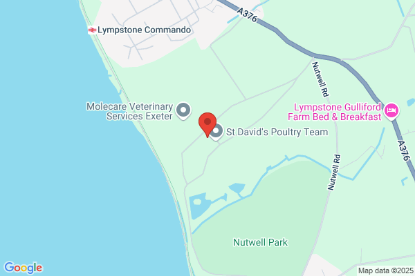 St Davids Farm & Equine Practice